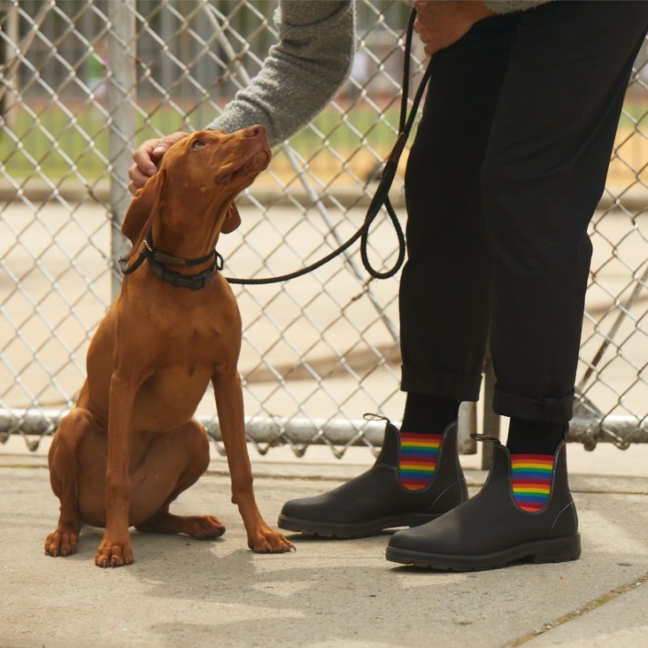 Fashion Blundstone Men's Originals Chelsea Boots Black/Rainbow